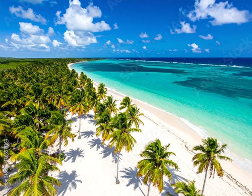Aerial view of a tropical beach with white sand and turquoise waters