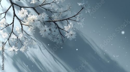 Minimal winter branch casting soft shadow on snow, calm and poetic nature concept
