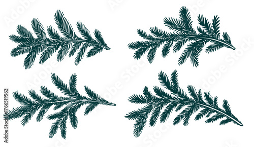 Christmas green tree branch set, hand drawn	
