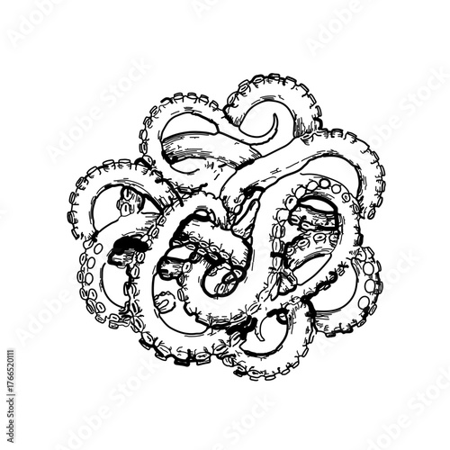 Tentacles of an octopus. Hand drawn vector illustration in engraving technique isolated on white background.