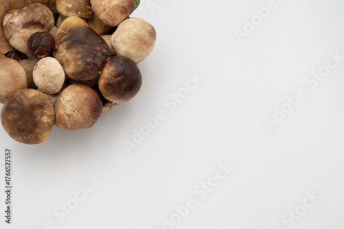 Wallpaper Mural Collection of fresh porcini mushrooms in a woven basket with natural leaves on a white background. Torontodigital.ca