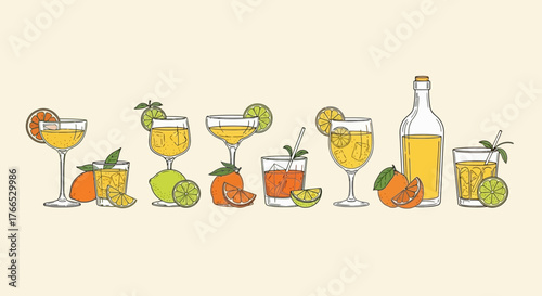 Fresh Citrus Drink Collection Illustration