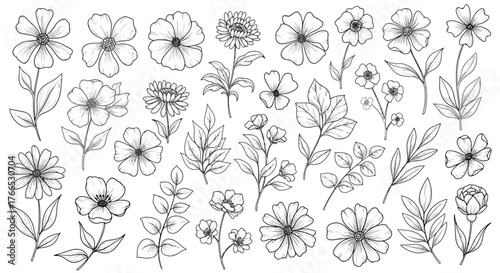 Elegant Line Art Collection Floral Designs for Creative Projects