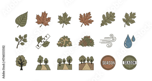 Rustic autumn elements collection featuring leaves and seasonal symbols