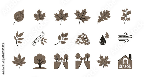Autumn leaf icons set with natural elements in rustic style