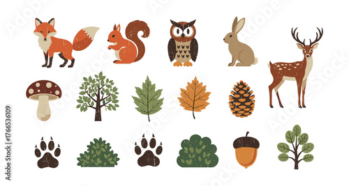 Rustic woodland animals and nature elements set