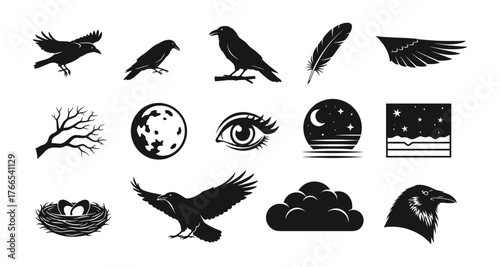 Mystical raven and moon silhouettes with nature elements