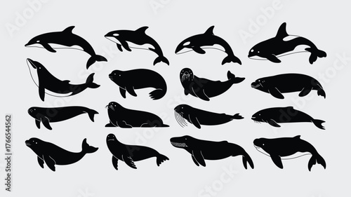 Captivating collection of marine mammal silhouettes including whales dolphins and seals for educational or design projects