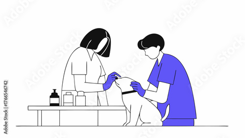 A volunteer aiding in a veterinary procedure wearing scrubs and gloves illustrating the medical care and support provided to animals in need.