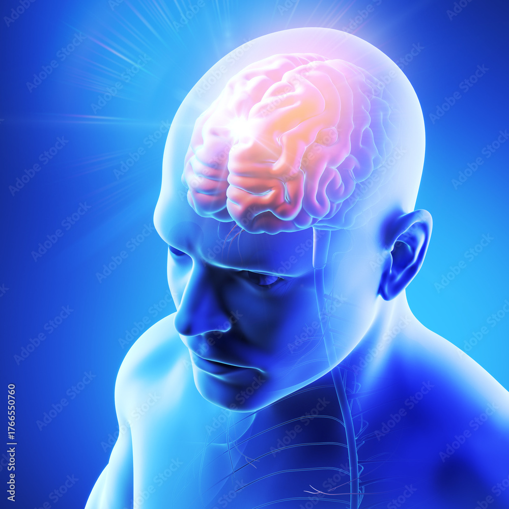 Obraz premium 3D medical illustration of human brain anatomy showing the workings of the brain.