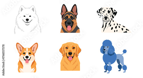 A charming vector illustration of six popular dog breeds: Samoyed, German Shepherd, Dalmatian, Corgi, Golden Retriever, and Poodle.
