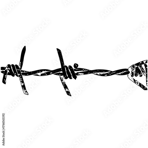 Barbed Wire Secures Boundary in Rural Landscape