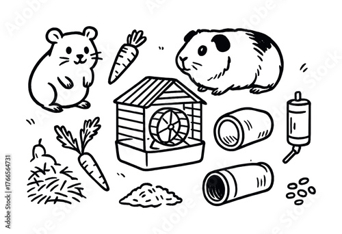 Vector Hamster and guinea pig with cage and accessories illustration