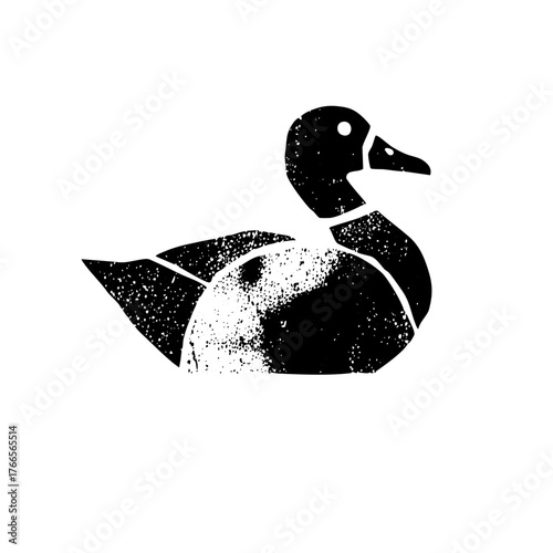 Duck floats calmly on water, texture for wildlife illustration