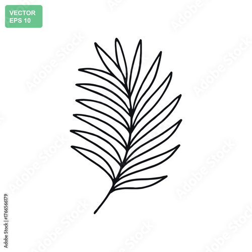 Simple black line drawing of a palm frond on a white background