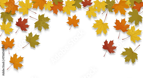 Colorful autumn maple leaves scattered as a decorative border on a white background vector illustration