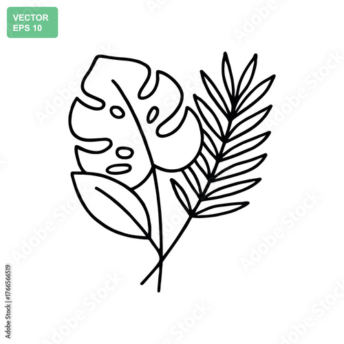 Minimalist line art tropical leaves monstera and palm frond illustration