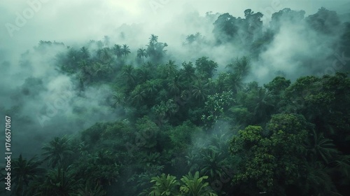 Lush Green Rainforest Canopy Embraced by Mystical Fog Tropical Trees Hidden in the Mist Serene Jungle Landscape with Dense Foliage Scenic View of Untouched Nature with Foggy Atmosphere