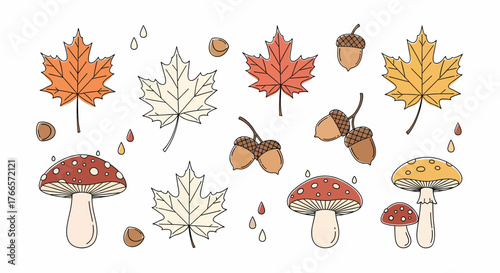 A charming collection of autumn-themed illustrations featuring maple leaves, acorns, and mushrooms.