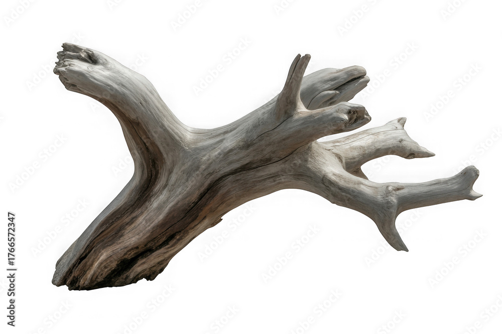 Naklejka premium dark dead driftwood piece isolated on white or transparent 