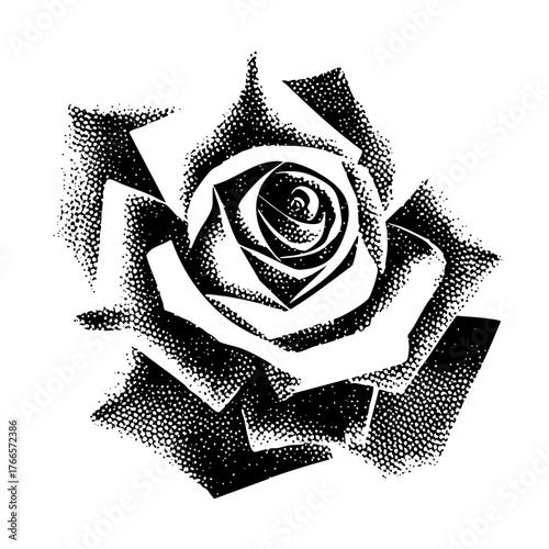 Rose blooms graphically in halftone illustration