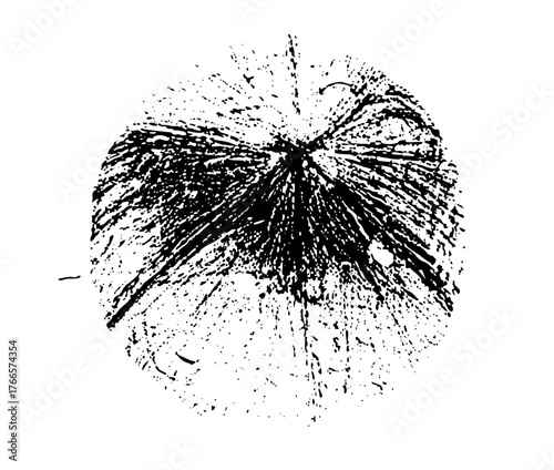 Fingerprint Reveals Evidence in Forensic Investigation