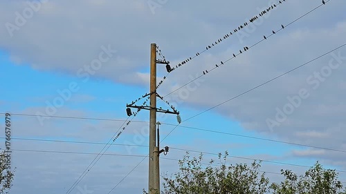 A Symphony of Migration. A flock of migratory birds perches on high-voltage power lines against a cloudy sky.