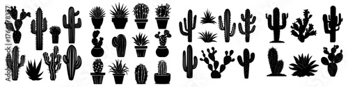 The term encompasses desert plants like cactuses, Mexican cacti flowers, aloe, and succulents, often depicted in cartoon decorative gardening, including home plants and summer scenes of Mexico's