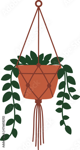 Hanging potted plant macrame hanger indoor greenery home decor vector