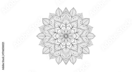 Intricate black and white mandala design with repeating floral and leaf patterns.
