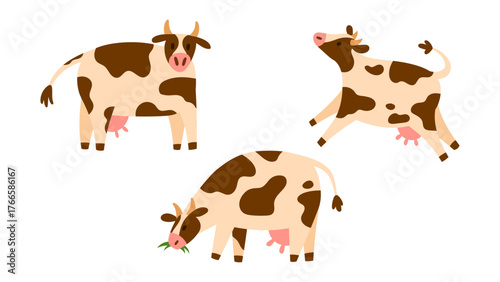 Set of playful spotted dairy cows with curved tail and visible udder in different poses, simple flat style, isolated on white. Ideal for farm, milk, and kids projects