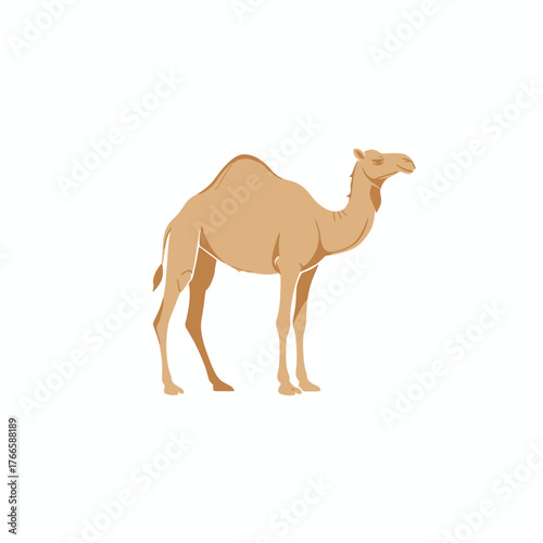 Majestic Camel Illustration A Detailed Look at Desert Wildlife