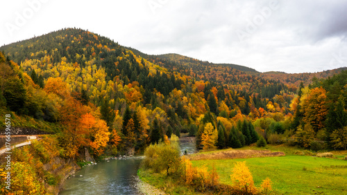 Golden autumn in the forest, trees with yellow leaves, colourful mountain slopes and peaks, beautiful mountain landscape with orange and brown hues and a mountain river.