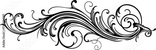 Fotografi Elegant black decorative flourish design adds a touch of vintage sophistication