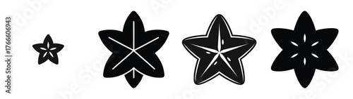 star fruit minimal icon set, black color and white background