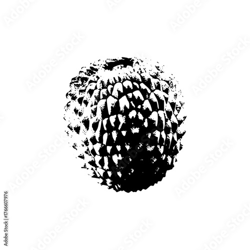 Sea Urchin Illustrates Texture in Marine Biology