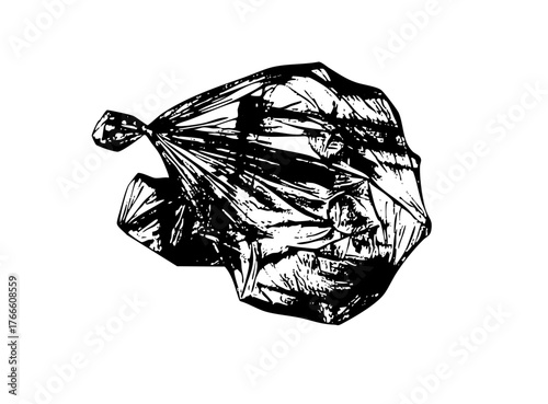 Trash Bag Fills Overflowing Waste Container