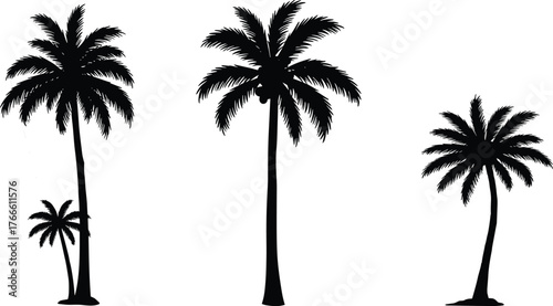Silhouette palm trees, tropical beach landscape, exotic island nature, summer vacation design, coastal paradise illustration, black tree outline, tropical holiday background, vector art