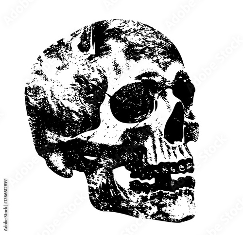 Skull Illustrates Mortality in Distressed Texture