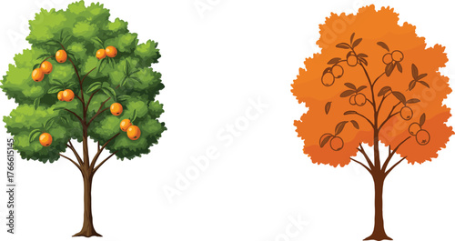 Fruit trees illustration, green and orange foliage, seasonal contrast, stylized nature, ripe oranges, garden design, plant growth, autumn harvest, agriculture, tree artwork