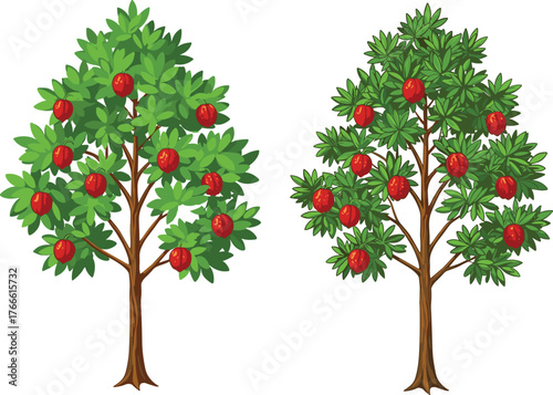 Fruit trees illustration, red fruit canopy, green foliage, stylized nature, botanical contrast, garden design, plant growth, agriculture, harvest, tree artwork