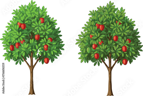 Fruit trees illustration, red fruit canopy, green foliage, stylized nature, productivity contrast, garden design, plant growth, agriculture, harvest, tree artwork