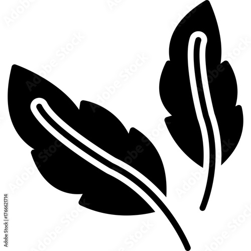 Feathers Icon