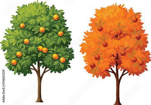 Seasonal fruit trees, green and orange foliage, stylized illustration, autumn and summer contrast, garden design, nature, harvest, agriculture, plant growth