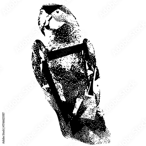 Puffin portrait detail in a natural habitat