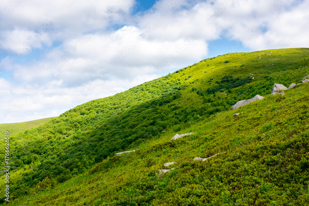 Obraz premium mountain landscape with beautiful view on alps in summer. green alpine meadow under blue sky on a sunny day. idyllic scenery in carpathian mountains with grassy rolling hills on morning fresh