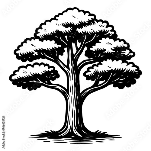 A black and white tree with a trunk and branches. The tree is the main focus of the image. Vector. Silhouette illustration.