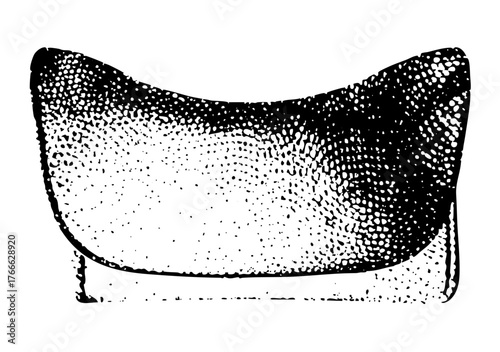 Sofa rests in minimalist living room