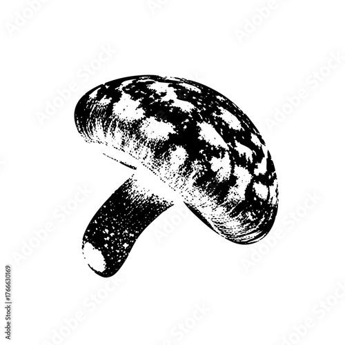 Mushroom Illustrates Texture in Botanical Study