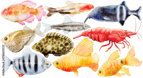 Watercolor Fish Clip Art Set Freshwater Aquarium Animal Goldfish Shrimp Tetra Gourami Discus Illustration Isolated on White Background Graphic Pet Shop